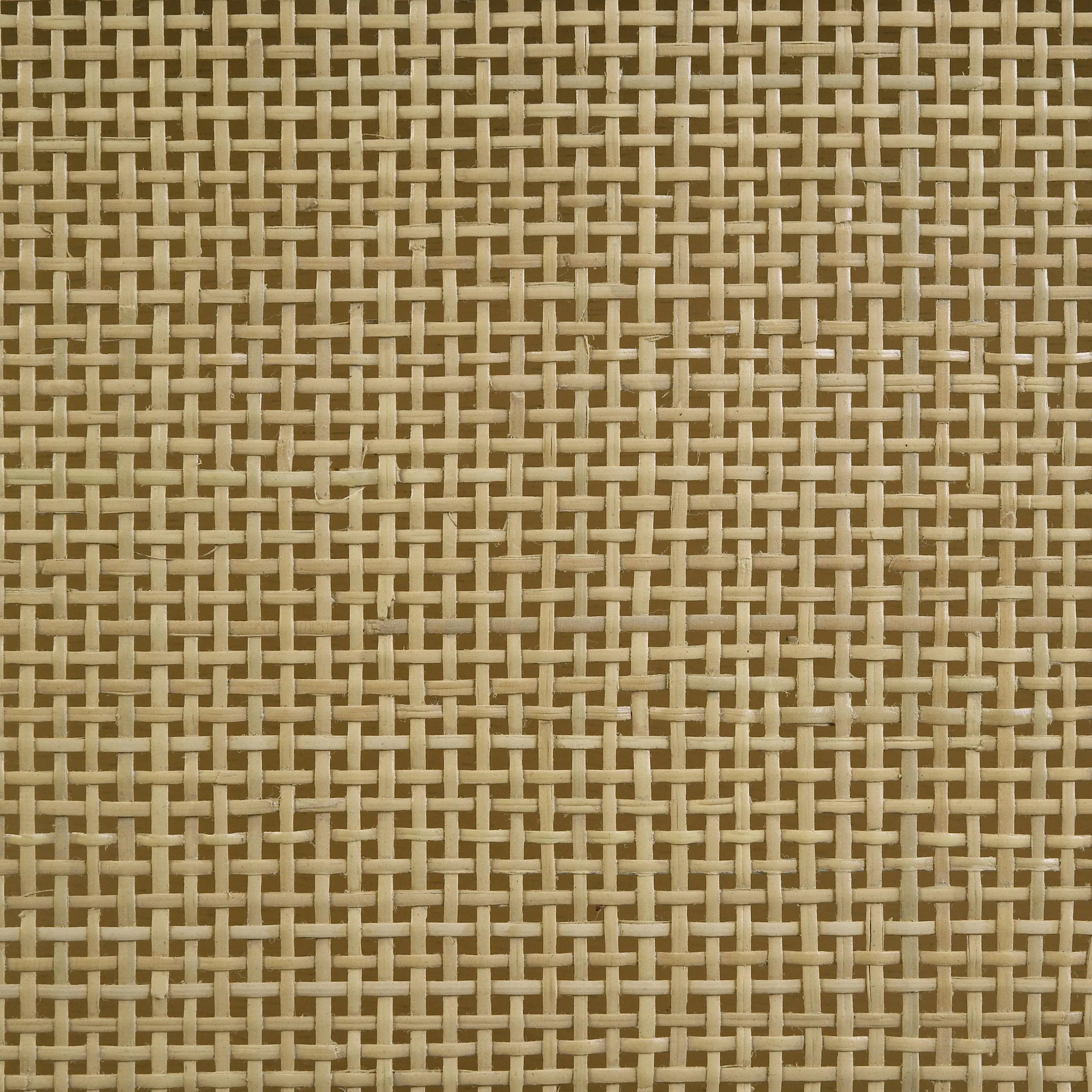 Arini Sand Wash Cane Weave Full Length Standing Floor Mirror - Image 10
