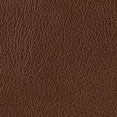 Brogliano Canyon Leather Loveseat - Image 6