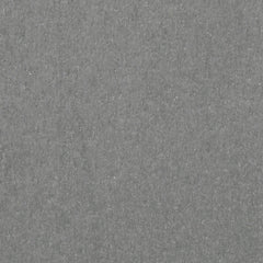 Cove Beach Gray Lounge Chair w/Cushion, Set of 2 - Image 7