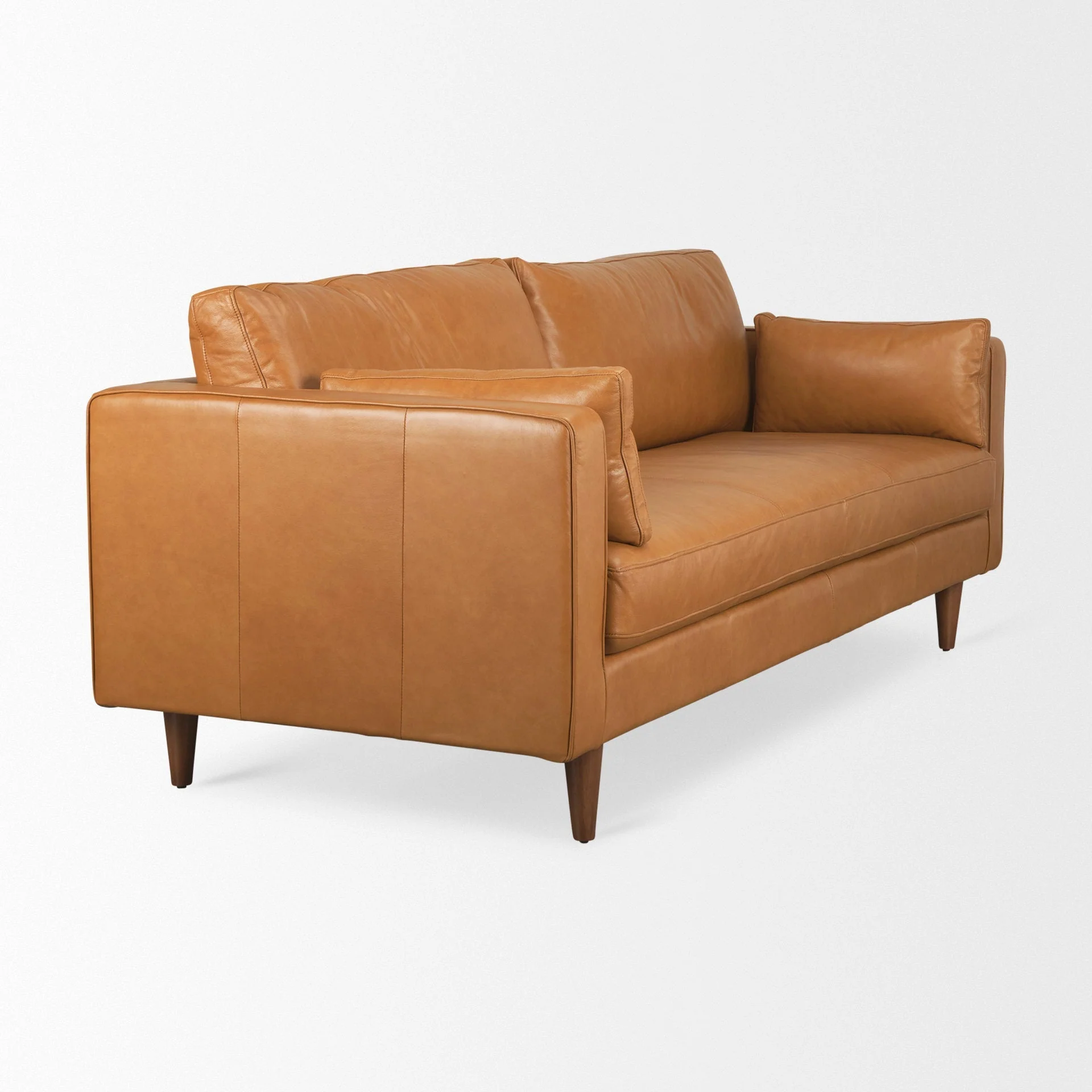Elton Tan Leather Sofa - Image 4